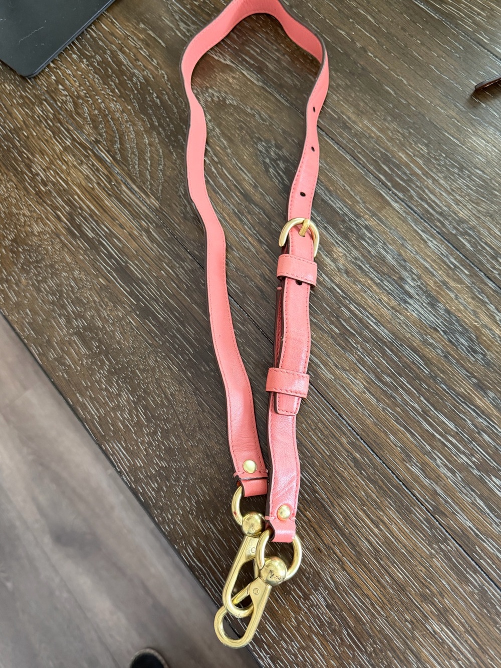 Coach Coral Ashley Bag Adjustable Leather Bag Strap with Gold Hardware
